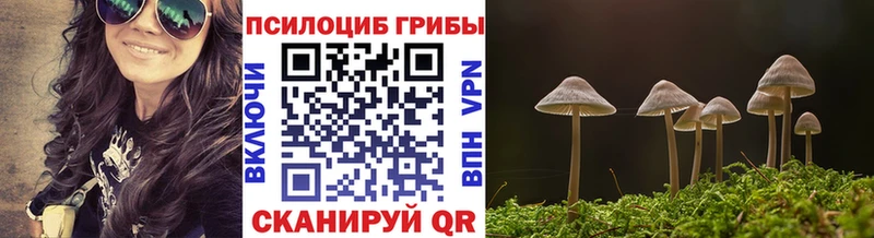 наркотики  ссылка на мегу ТОР  Псилоцибиновые грибы ЛСД  shop телеграм  Искитим 
