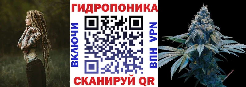 Канабис THC 21%  дарнет шоп  Искитим 